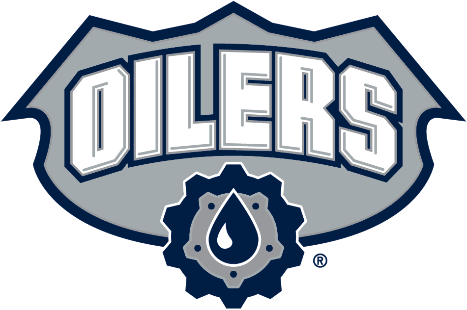 Edmonton Oilers 2001-2007 Alternate Logo iron on heat transfer...
